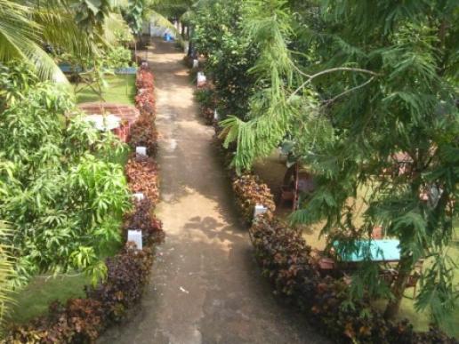 Central view of the hotel garden