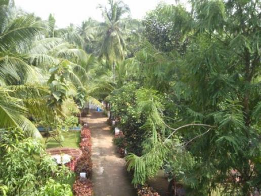 Birds eye view of the hotel gardens